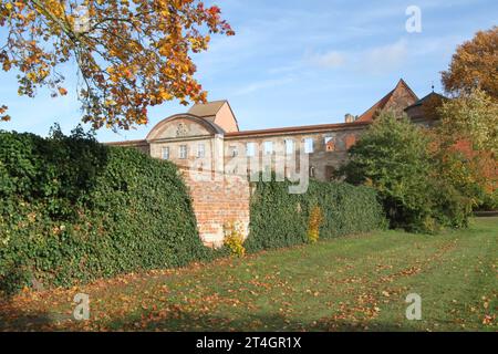 Blick am Montag 30.10.2023 a Dargun Landkreis Mecklenburgische Seenplatte auf eine herbstliche Stimmung im örtlichen Park der Kloster- und Schlossanlage. Die monumentale Anlage ging seinerzeit aus einen Zisterzienserkloster hervor. Zunächst gründeten 1172 Zisterziensermönche am heutigen Ort des Gebäudes ein Kloster. Später baute man die Klosteranlage zu einem Schloss um. 1945 wurde der Schlosskomplex ein Opfer von Brandstiftung. Nach der Wende begann man die Gebäude zu sichern und intensiv zu nutzen. Mittlerweile finden rund um die Kloster -und Schlossanlage zahlreiche Veranstaltungen statt. Foto Stock