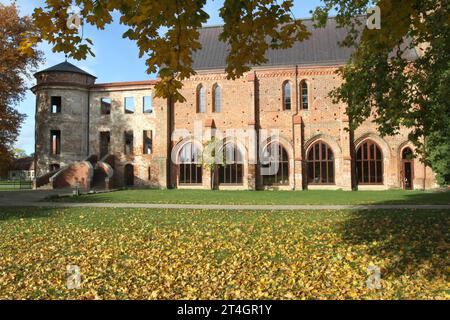 Blick am Montag 30.10.2023 a Dargun Landkreis Mecklenburgische Seenplatte auf eine herbstliche Stimmung im örtlichen Park der Kloster- und Schlossanlage. Die monumentale Anlage ging seinerzeit aus einen Zisterzienserkloster hervor. Zunächst gründeten 1172 Zisterziensermönche am heutigen Ort des Gebäudes ein Kloster. Später baute man die Klosteranlage zu einem Schloss um. 1945 wurde der Schlosskomplex ein Opfer von Brandstiftung. Nach der Wende begann man die Gebäude zu sichern und intensiv zu nutzen. Mittlerweile finden rund um die Kloster -und Schlossanlage zahlreiche Veranstaltungen statt. Foto Stock