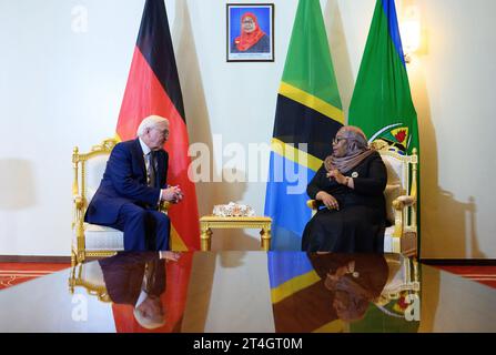 Daressalam, Tanzania. 31 ottobre 2023. Il presidente tedesco Frank-Walter Steinmeier (l) e Samia Suluhu Hassan, presidente della Tanzania, si incontrano per un colloquio alla State House. Il Presidente Steinmeier è in visita nei paesi dell'Africa orientale della Tanzania e dello Zambia questa settimana. Crediti: Bernd von Jutrczenka/dpa/Alamy Live News Foto Stock