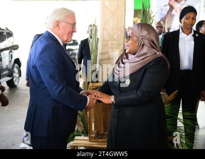 Daressalam, Tanzania. 31 ottobre 2023. Il presidente tedesco Frank-Walter Steinmeier (l) è accolto da Samia Suluhu Hassan, presidente della Tanzania, alla State House. Il Presidente Steinmeier è in visita nei paesi dell'Africa orientale della Tanzania e dello Zambia questa settimana. Crediti: Bernd von Jutrczenka/dpa/Alamy Live News Foto Stock