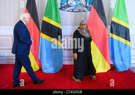 Daressalam, Tanzania. 31 ottobre 2023. Il presidente tedesco Frank-Walter Steinmeier (l) e Samia Suluhu Hassan, presidente della Tanzania, si incontrano per un colloquio alla State House. Il Presidente Steinmeier è in visita nei paesi dell'Africa orientale della Tanzania e dello Zambia questa settimana. Crediti: Bernd von Jutrczenka/dpa/Alamy Live News Foto Stock