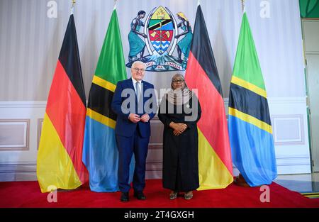 Daressalam, Tanzania. 31 ottobre 2023. Il presidente tedesco Frank-Walter Steinmeier (l) e Samia Suluhu Hassan, presidente della Tanzania, si incontrano per un colloquio alla State House. Il Presidente Steinmeier è in visita nei paesi dell'Africa orientale della Tanzania e dello Zambia questa settimana. Crediti: Bernd von Jutrczenka/dpa/Alamy Live News Foto Stock