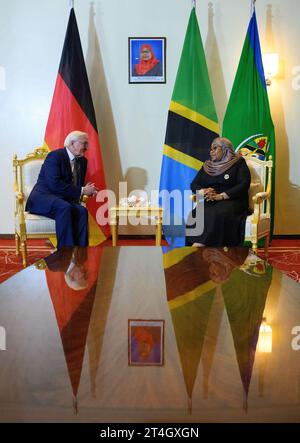 Daressalam, Tanzania. 31 ottobre 2023. Il presidente tedesco Frank-Walter Steinmeier (l) e Samia Suluhu Hassan, presidente della Tanzania, si incontrano per un colloquio alla State House. Il Presidente Steinmeier è in visita nei paesi dell'Africa orientale della Tanzania e dello Zambia questa settimana. Crediti: Bernd von Jutrczenka/dpa/Alamy Live News Foto Stock