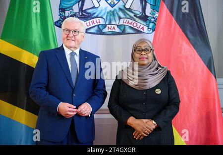 Daressalam, Tanzania. 31 ottobre 2023. Il presidente tedesco Frank-Walter Steinmeier (l) e Samia Suluhu Hassan, presidente della Tanzania, si incontrano per un colloquio alla State House. Il Presidente Steinmeier è in visita nei paesi dell'Africa orientale della Tanzania e dello Zambia questa settimana. Crediti: Bernd von Jutrczenka/dpa/Alamy Live News Foto Stock