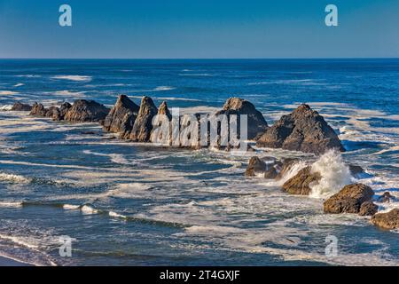 Sea Stacks al Seal Rock State Park, Oregon Islands National Wildlife Refuge, vicino a Newport, Oregon, Stati Uniti Foto Stock