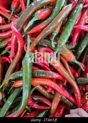 Vista dall'alto grandi peperoncini rossi utilizzati in cucina e utilizzati come guarnigione. Foto Stock