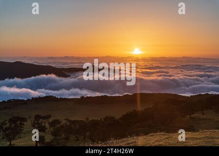 Incredibile tramonto con colline, nebbia e prato con alberi di Laurissilva a Fanal sull'isola di Madeira Foto Stock