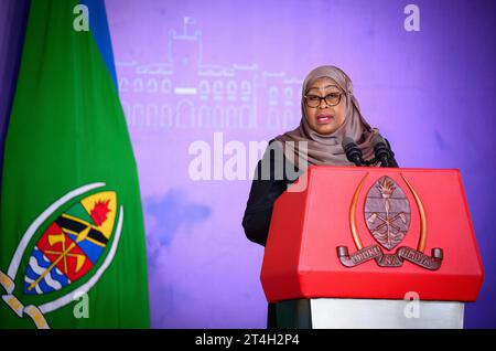 Daressalam, Tanzania. 31 ottobre 2023. Samia Suluhu Hassan, presidente della Tanzania, fa osservazioni in una conferenza stampa congiunta con il presidente Steinmeier dopo i loro colloqui alla State House. Il Presidente Steinmeier è in visita nei paesi dell'Africa orientale della Tanzania e dello Zambia questa settimana. Crediti: Bernd von Jutrczenka/dpa/Alamy Live News Foto Stock