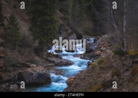 Il fiume di montagna con splendide acque blu e grandi massi e pietre scorre tra una foresta di abeti rossi nella gola di Turgen in Kazakistan. Foto Stock