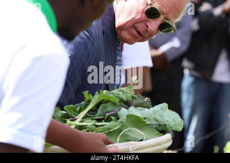 Re Carlo III guardando un'insalata foglie durante una visita al progetto urbano della fattoria City Shamba presso l'ospedale Mama Lucy Kibaki di Nairobi, il primo giorno della visita di stato in Kenya. City Shamba serve come fattoria modello e centro di informazione per la comunità locale, e fornisce cibo all'ospedale. Data immagine: Martedì 31 ottobre 2023. Foto Stock