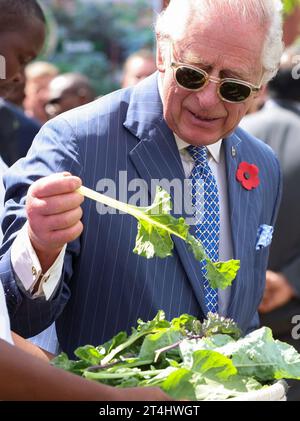 Re Carlo III guardando una foglia di insalata durante una visita al progetto urbano della fattoria City Shamba presso l'ospedale Mama Lucy Kibaki di Nairobi, il primo giorno della visita di stato in Kenya. City Shamba serve come fattoria modello e centro di informazione per la comunità locale, e fornisce cibo all'ospedale. Data immagine: Martedì 31 ottobre 2023. Foto Stock