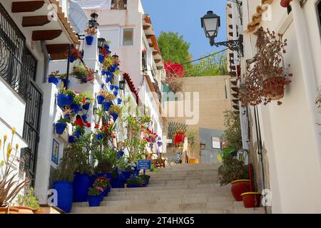 La casa con i vasi blu, una popolare attrazione turistica raggiungibile con ripidi scalini. Le pentole dipinte a mano contrastano con fiori dai colori vivaci, Alicante. Foto Stock