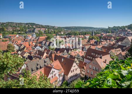 Stadtpanorama, Altstadt, gesehen vom Schloß Hohentübingen, Tübingen, Baden-Württemberg, Deutschland *** Panoramica della città, città vecchia, vista dal castello di Hohentübingen, Tübingen, Baden Wuerttemberg, Germania Foto Stock