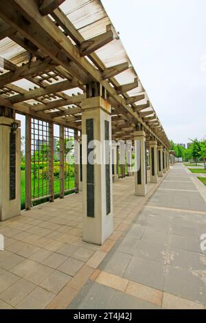 Corridoio di legno nel parco, primo piano della foto Foto Stock