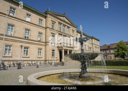 Neue Aula, Eberhard Karls Universität, Geschwister-Scholl-Platz, Tübingen, Baden-Württemberg, Deutschland *** New Assembly Hall, Eberhard Karls University, Geschwister Scholl Platz, Tübingen, Baden Württemberg, Germania Foto Stock