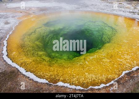 La colorata Morning Glory Pool nell'Upper Geyser Basin nel parco nazionale di Yellowstone Foto Stock