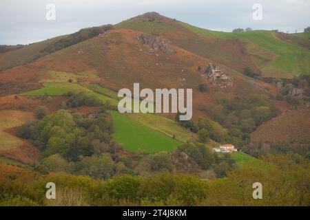 Ambiente naturale autunnale per qualsiasi progetto che richieda vita rurale, autunno, colori vivaci, vita rurale o vacanze in montagna. Spazio per la copia del testo. Foto Stock