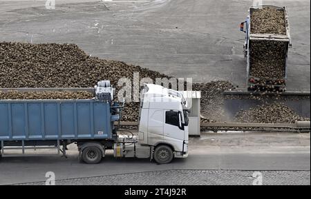 Tienen, Belgio. 31 ottobre 2023. La figura mostra la Tiense Suikerraffinaderij - raffinerie Tirlemontoise, a Tienen, martedì 31 ottobre 2023. BELGA PHOTO ERIC LALMAND Credit: Belga News Agency/Alamy Live News Foto Stock