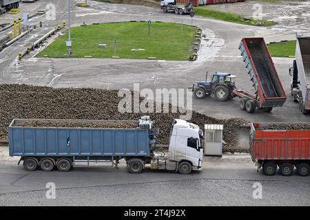 Tienen, Belgio. 31 ottobre 2023. La figura mostra la Tiense Suikerraffinaderij - raffinerie Tirlemontoise, a Tienen, martedì 31 ottobre 2023. BELGA PHOTO ERIC LALMAND Credit: Belga News Agency/Alamy Live News Foto Stock