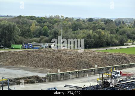 Tienen, Belgio. 31 ottobre 2023. La figura mostra la Tiense Suikerraffinaderij - raffinerie Tirlemontoise, a Tienen, martedì 31 ottobre 2023. BELGA PHOTO ERIC LALMAND Credit: Belga News Agency/Alamy Live News Foto Stock