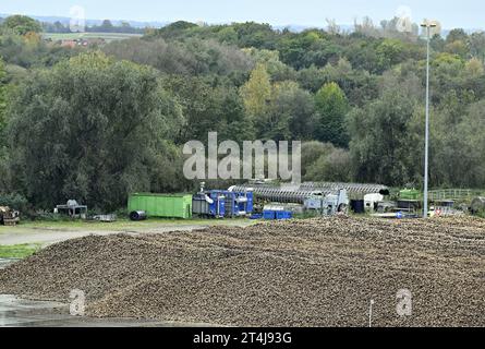 Tienen, Belgio. 31 ottobre 2023. La figura mostra la Tiense Suikerraffinaderij - raffinerie Tirlemontoise, a Tienen, martedì 31 ottobre 2023. BELGA PHOTO ERIC LALMAND Credit: Belga News Agency/Alamy Live News Foto Stock