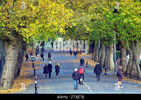 Glasgow, Scozia, Regno Unito. 31 ottobre 2023. Tempo nel Regno Unito: Kelvin Way affollata con gente del posto che va al parco. La giornata soleggiata degli autunni ha visto un gran numero di colori nel parco kelvingrove per halloween . Credit Gerard Ferry/Alamy Live News Foto Stock