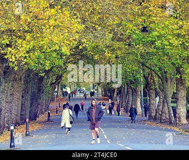 Glasgow, Scozia, Regno Unito. 31 ottobre 2023. Tempo nel Regno Unito: Kelvin Way affollata con gente del posto che va al parco. La giornata soleggiata degli autunni ha visto un gran numero di colori nel parco kelvingrove per halloween . Credit Gerard Ferry/Alamy Live News Foto Stock