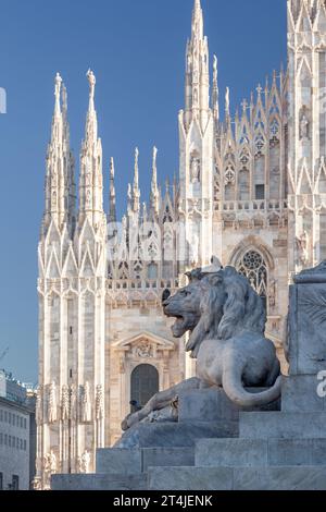 Il leone della statua di Vittorio Emanuele II di fronte al Duomo di Milano, in Lombardia, Italia, Europa. Alcuni uccelli si stanno riposando su di esso. Foto Stock