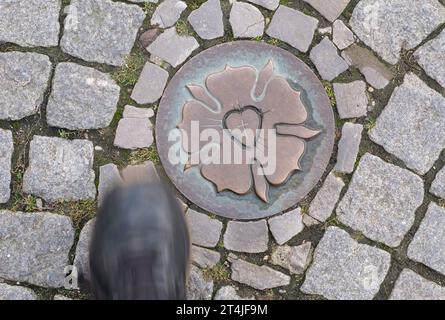 Lutherstadt Eisleben, Germania. 31 ottobre 2023. Sul marciapiede del centro della città si può vedere una rosa di Lutero. Martin Lutero usò il segno come sigillo per la sua corrispondenza. Il giorno della riforma, i visitatori sono stati guidati attraverso il luogo di nascita del riformatore da un impersonatore di Lutero. Credito: Sebastian Willnow/dpa/Alamy Live News Foto Stock