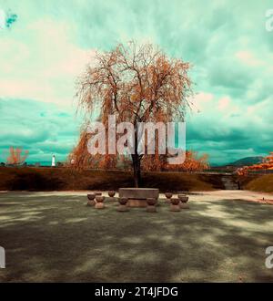 Una panchina di pietra si trova in una tranquilla solitudine sotto un grande albero frondoso di fronte a un cielo nuvoloso Foto Stock