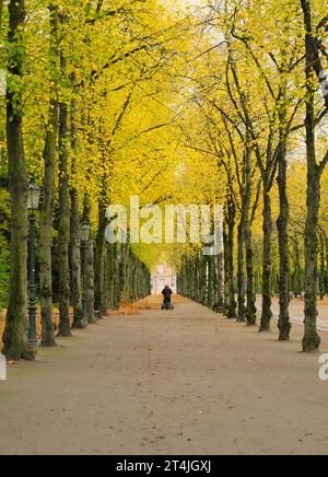 An autumn colored alley with a worker using a leaf blower, autumn,fall season concept, unrecognizable person Foto Stock