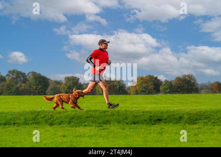Vista del profilo di un uomo anziano attivo e del suo cane labradoodle che corre insieme nel parco in una giornata di sole d'estate con spazio fotocopie Foto Stock