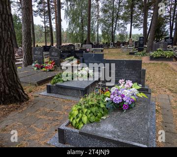 Tombe moderne nell'antico cimitero musulmano vicino alla moschea in legno di Kruszyniany, nel voivodato di Podlaskie, Polonia Foto Stock