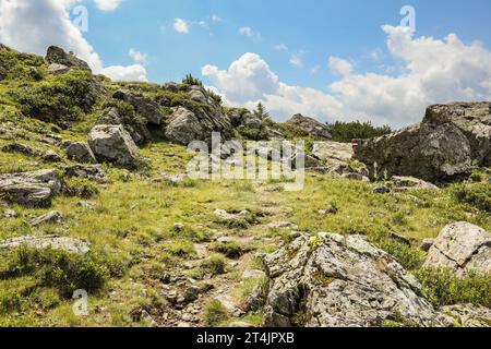 Paesaggio roccioso nella natura in Austria. Pietre e erba su paesaggi collinari in Europa. Foto Stock