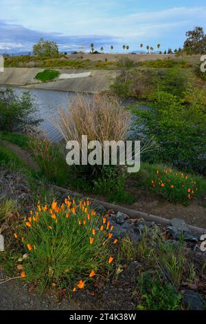 Il Vasona Lake County Park and Reservoir, Los Gatos, CALIFORNIA Foto Stock