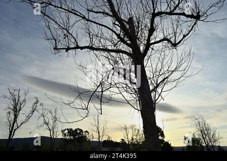 Il Vasona Lake County Park and Reservoir, Los Gatos, CALIFORNIA Foto Stock