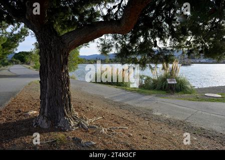 Il Vasona Lake County Park and Reservoir, Los Gatos, CALIFORNIA Foto Stock