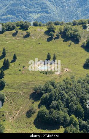 Chézery-Forens, Francia - 09 02 2021: Vista di una riserva d'acqua in un prato con due abeti Foto Stock
