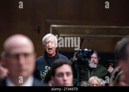 Un manifestante grida al Segretario di Stato degli Stati Uniti Antony Blinken sul conflitto Israele-Gaza durante un'audizione sugli stanziamenti del Senato per esaminare la richiesta supplementare di sicurezza nazionale nell'edificio dell'ufficio del Senato Dirksen a Washington, DC martedì 31 ottobre 2023. Copyright: XAnnabellexGordonx/xCNPx/MediaPunchx credito: Imago/Alamy Live News Foto Stock