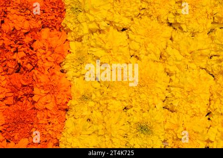 Primo piano di fiori di calendula disposti in giallo e arancione Foto Stock