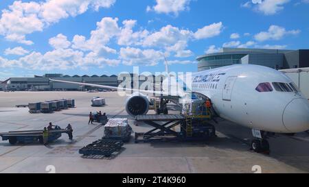 Tel Aviv, Israele, 28 ottobre 2023: Terminal di partenza e arrivo per i voli internazionali El al Planes Foto Stock