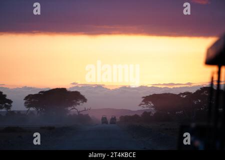 Kenia Safari Shots Foto Stock