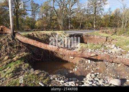 Erosione lungo la strada, un albero caduto e detriti: Le conseguenze dell'inondazione di Storm Babet del fiume South Esk a Justinhaugh, Angus, Regno Unito nell'ottobre 2023. Foto Stock