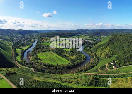 Wiltinger Saarbogen. Il fiume si snoda attraverso la valle ed è circondato da vigneti e foreste verdi. Kanzem, Renania-Palatinato, Germania. Foto Stock