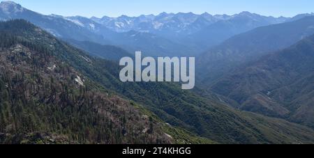 Ammira a est da Moro Rock verso il Great Western divide, il Sequoia National Park, California, USA. Foto Stock