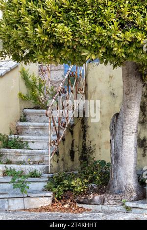 set o rampa di vecchi gradini in pietra d'epoca o scale con corrimano in ferro battuto e albero su un vecchio edificio greco/ Foto Stock