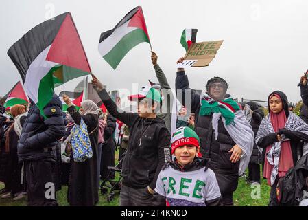 L'Aia, Paesi Bassi. 29 ottobre 2023. I manifestanti detengono bandiere palestinesi durante la manifestazione “dimostrazione nazionale per la Palestina” all’Aia. I manifestanti hanno marciato pacificamente attraverso l'Aia questo pomeriggio e si sono riuniti sul Malieveld, quindi hanno marciato attraverso la città in una lunga processione che ha attraversato l'Hofvijver, Plein 1813 e poi passato al Palazzo della libertà durante la manifestazione nazionale per la Palestina. Credito: SOPA Images Limited/Alamy Live News Foto Stock