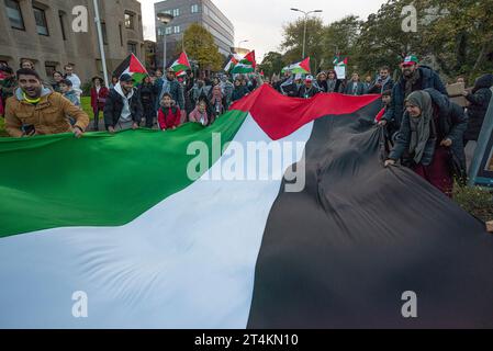 L'Aia, Paesi Bassi. 29 ottobre 2023. I manifestanti detengono una grande bandiera palestinese durante la manifestazione “dimostrazione nazionale per la Palestina” all’Aia. I manifestanti hanno marciato pacificamente attraverso l'Aia questo pomeriggio e si sono riuniti sul Malieveld, quindi hanno marciato attraverso la città in una lunga processione che ha attraversato l'Hofvijver, Plein 1813 e poi passato al Palazzo della libertà durante la manifestazione nazionale per la Palestina. Credito: SOPA Images Limited/Alamy Live News Foto Stock