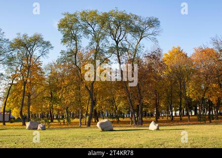 Paesaggio urbano autunnale. Foglie e pietre cadute sul prato. Una soleggiata giornata autunnale in un parco cittadino. Foto Stock