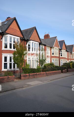 Romilly Road Canton Cardiff Galles del Sud Regno Unito Foto Stock